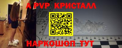 стаф Славгород
