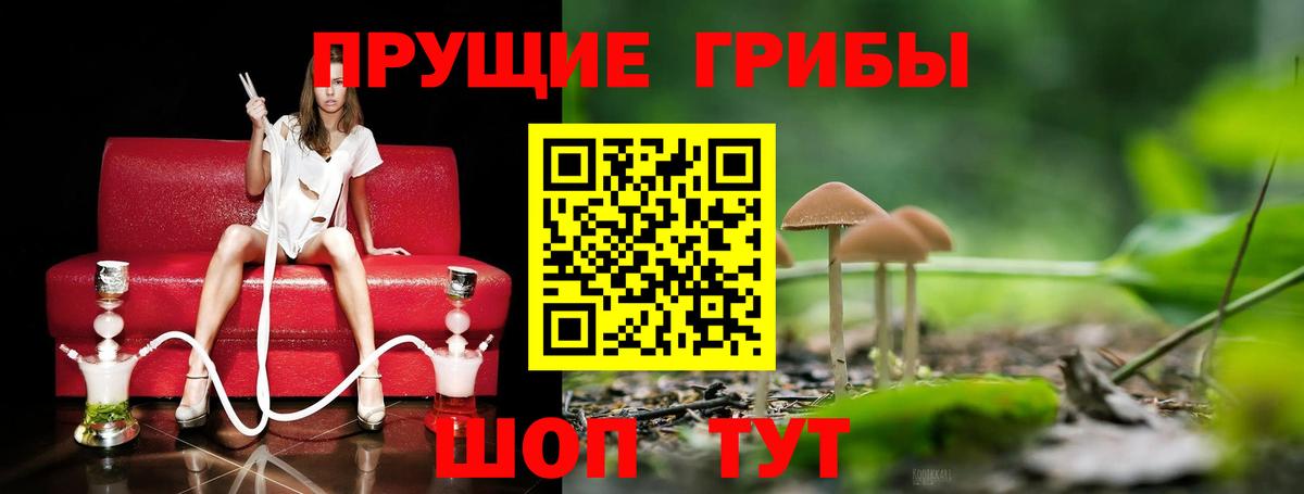 Псилоцибиновые грибы MAGIC MUSHROOMS  Псилоцибиновые грибы Psilocybine cubensis  Семилуки  Вход с VPN 